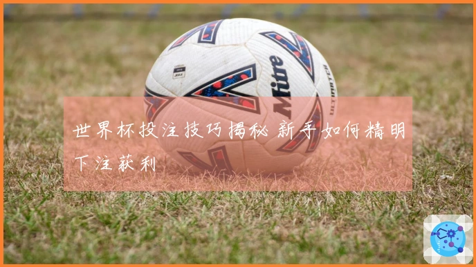 世界杯投注技巧揭秘 新手如何精明下注获利