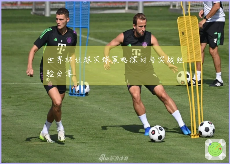 世界杯让球买球策略探讨与实战经验分享