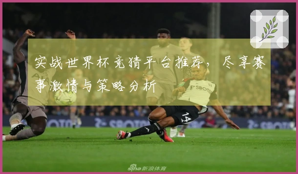 实战世界杯竞猜平台推荐，尽享赛事激情与策略分析