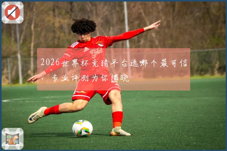 2026世界杯竞猜平台选哪个最可信，专业评测为你揭晓