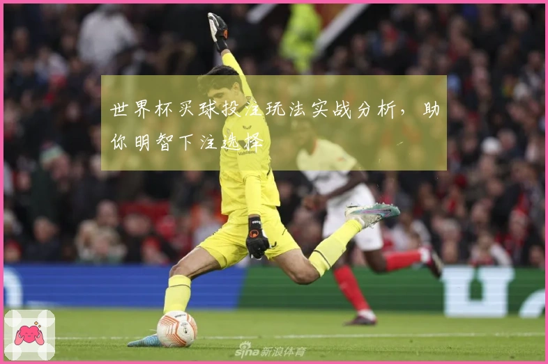 世界杯买球投注玩法实战分析，助你明智下注选择