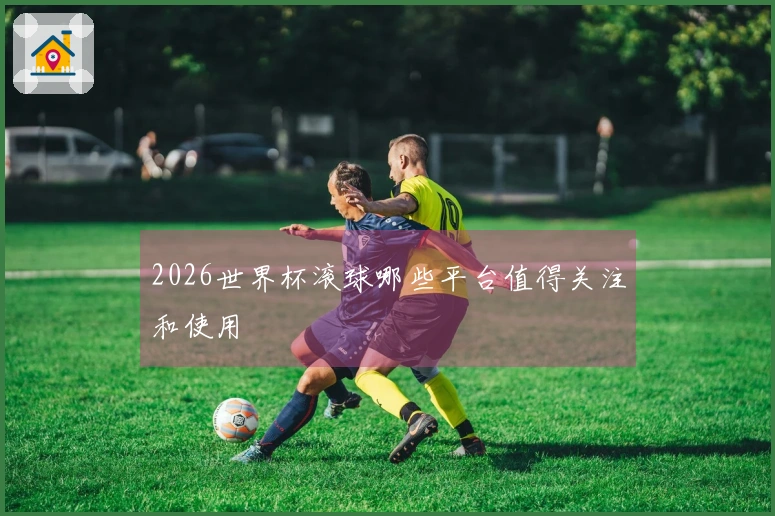 2026世界杯滚球哪些平台值得关注和使用