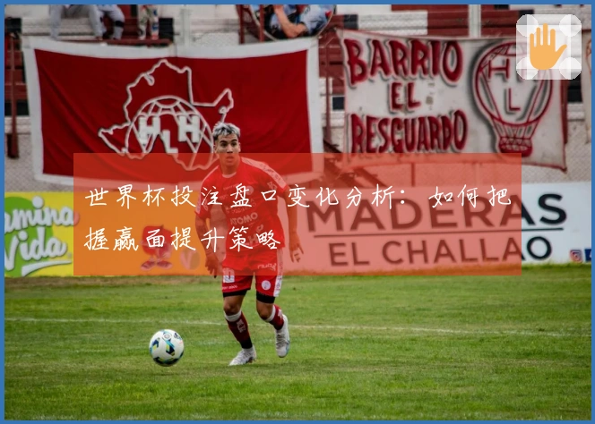 世界杯投注盘口变化分析：如何把握赢面提升策略