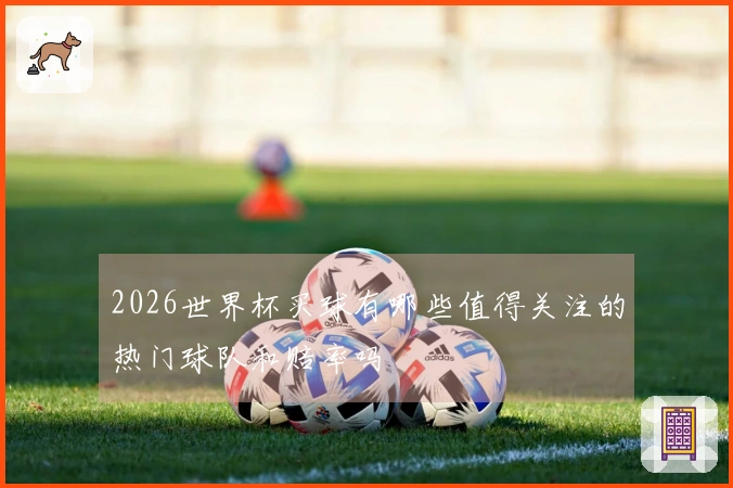 2026世界杯买球有哪些值得关注的热门球队和赔率吗