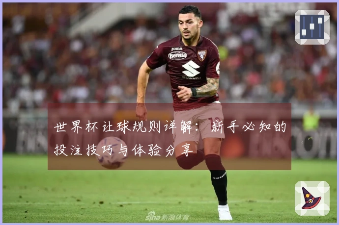 世界杯让球规则详解：新手必知的投注技巧与体验分享
