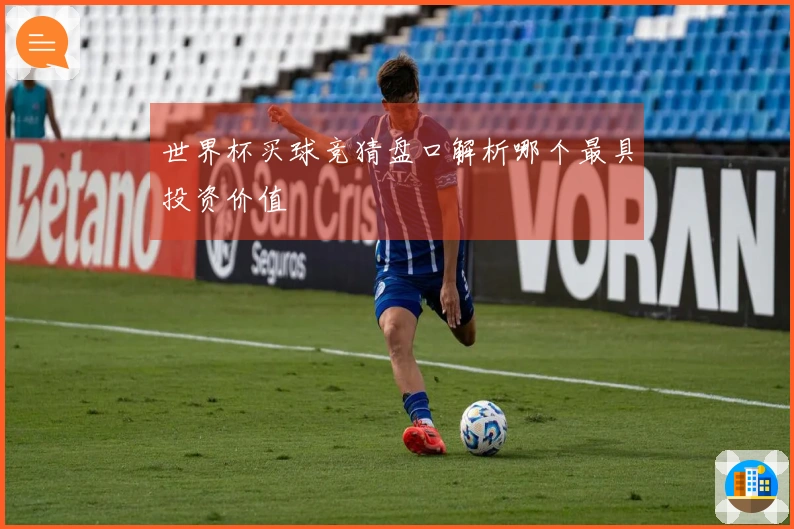 世界杯买球竞猜盘口解析哪个最具投资价值