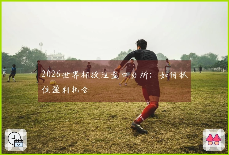 2026世界杯投注盘口分析：如何抓住盈利机会