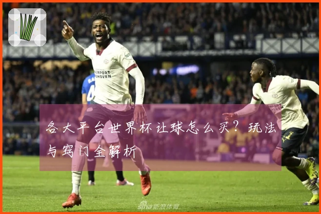 各大平台世界杯让球怎么买？玩法与窍门全解析