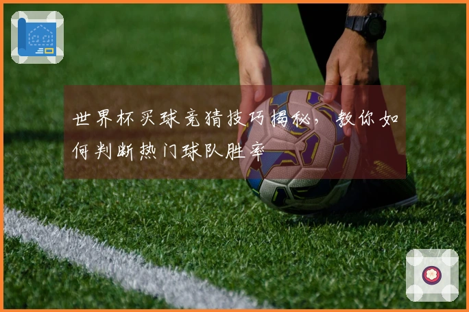 世界杯买球竞猜技巧揭秘，教你如何判断热门球队胜率